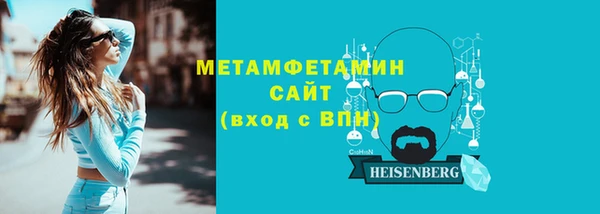 индика Краснослободск